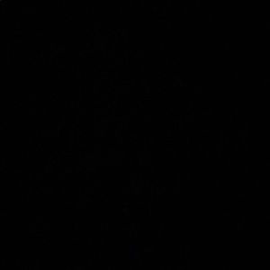 Meet your Posher, Zoby